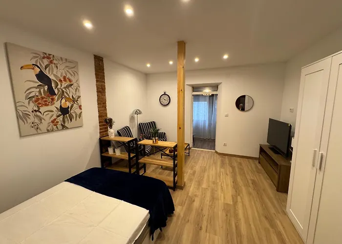 公寓 Vacare Renedo